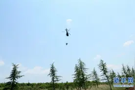 河南汝阳：雨季飞播造林图片