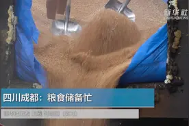 四川成都：粮食储备忙视频封面