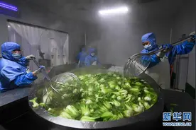 江苏泗阳：“一碗水饺”吃出“富民味道”图片