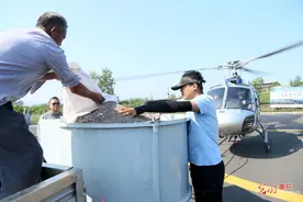 河南汝阳：飞播造林图片
