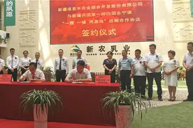 新农开发携手兵团一师四团打造有机生态牧场主题公园图片