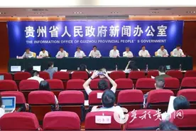 围绕服务业创新发展十大工程 贵州省发改委梳理出重点项目422个图片