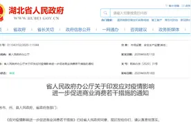 湖北发布25条措施促进商业消费 允许临街店铺出店占道经营图片