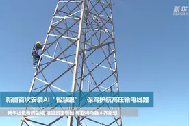 新疆首次安装AI“智慧眼”　保驾护航高压输电线路视频封面