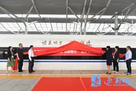欢迎乘坐“项王故里 酒都宿迁”高铁专列图片