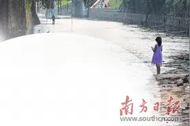 昔日酱油河 今朝鸥鹭栖图片