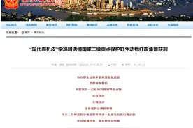 重庆男子想抓“娃娃鸡”当宠物，还专门学鸡叫引诱，花了半小时抓到后却被判了刑图片