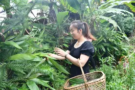 新邵迎光乡：稻草粽里道乡情图片