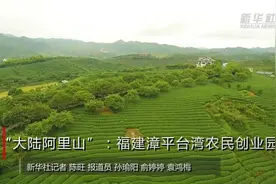 “大陆阿里山”：福建漳平台湾农民创业园视频封面