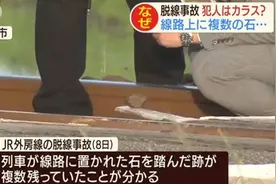 在铁轨放石块引发列车脱轨 日本小学生承认犯案：在做实验图片