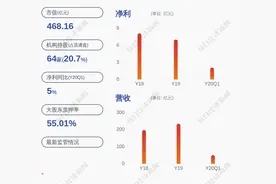 东山精密：控股股东部分股权解除质押，质押比例变更为49.53%图片