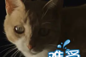 珠海还没买车的赚到了！这波福利你必须抢图片