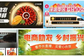 618看扶贫：“直播带货”新招 开辟“造血式兴农”新路径图片