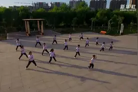 习练梅花拳 强身健体魄视频封面