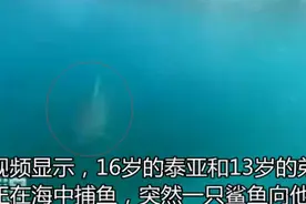 澳大利亚一对姐弟潜水捕鱼时遇鲨鱼袭击 幸运逃生图片