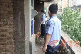 近期狗扰民投诉较多 西安碑林、未央民警上门查处图片
