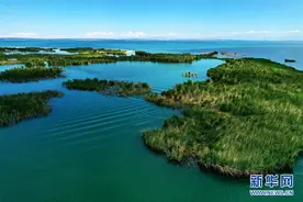 探访新疆乌伦古湖国家湿地公园图片