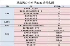 2020重庆民办学校首次摇号结束 摇中了的别忘记“确认”图片
