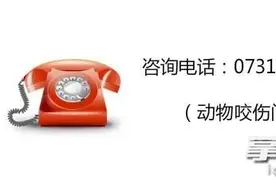 长沙6岁男孩被乌龟咬伤，要打狂犬病疫苗吗？专家这样答复……图片