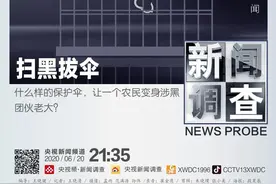 有黑必有伞！揭开这个普通农民“黑化”背后的庞大关系网图片