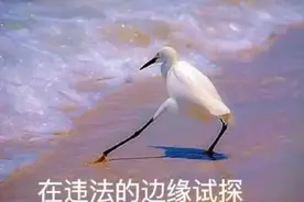 马路中间乱“抖”机灵？交警蜀黍：这样耍帅违法哈图片