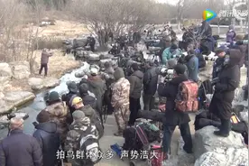 中国拍鸟大爷，全世界的鸟都躲着走丨原创图片