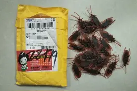 男子给老婆取快递，当场吓傻！花圈，百只蟑螂...是个漂亮女人寄的图片
