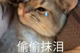 差评最多的5家淘宝店曝光！第2家你就中招了图片
