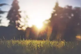 节气｜夏至日，“昼晷已云极”图片