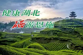 恩施州多家单位公开招聘，速来看岗位表图片