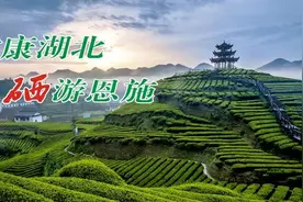 恩施州多家单位公开招聘，速来看岗位表图片