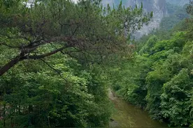 神仙居，一场自然洗心之旅图片