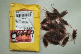 杭州男子打开老婆的快递，当场懵了……谁干的图片