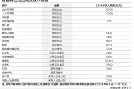 税收立法关键年：2部新法基本确定，房地产税法暂缓图片