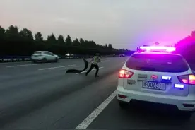 “爸爸，你是世界上跑得最帅的男人”3岁警宝为父亲的行为点赞图片
