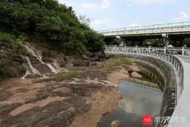 去广州七星岗赏6000年前的海岸线，还藏着“世界之最”图片