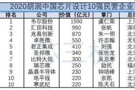 中国民营芯片设计10强出炉 韦尔夺冠，兆易第三图片