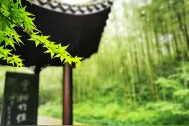 登山爱好者大雨中用手机拍出一组大片：雨中西湖群山让人怦然心动图片