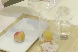 日本：梅子熟了“青梅煮酒”助果农突围视频封面