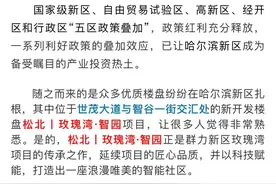 这座群力超火的品质楼盘，这次来哈尔滨新区了图片