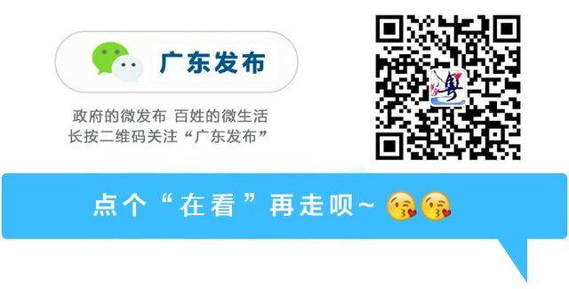 木瓜瑶柱花胶 2026年木瓜煲花胶