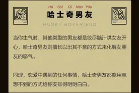 男友像哈士奇，是爽还是惨？图片