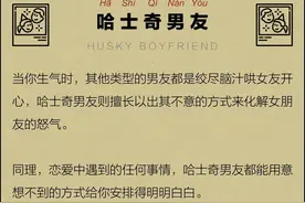 男友像哈士奇，是爽还是惨？图片