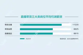 主播月均薪11220元 七成“带货经济”从业者月入不过万图片
