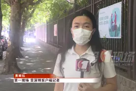 视频：粤B“久摇不中者”增加中签率？交通局回应来了图片