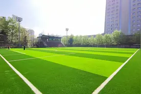 拆违建、拆围墙、增绿地 成都武侯“五大花园”片区吉顺街运动公园开放图片