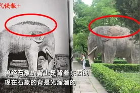 明孝陵石象背上有“鬃毛”？专家：100多年前它们是“许愿象”图片
