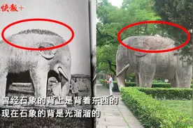 明孝陵石象背上有“鬃毛”？专家：100多年前它们是“许愿象”图片