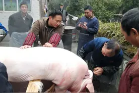 【芦山地方志-特色美食】汪成文‖浅说大川老腊肉图片