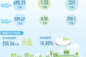 金昌治沙四十年（小康路上绿色力量·关注荒漠化治理④）图片